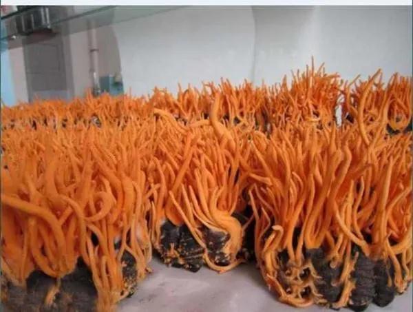 1562078200702441.jpg 5.jpg