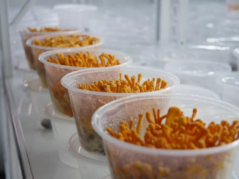 1562078214169433.jpg 4.jpg