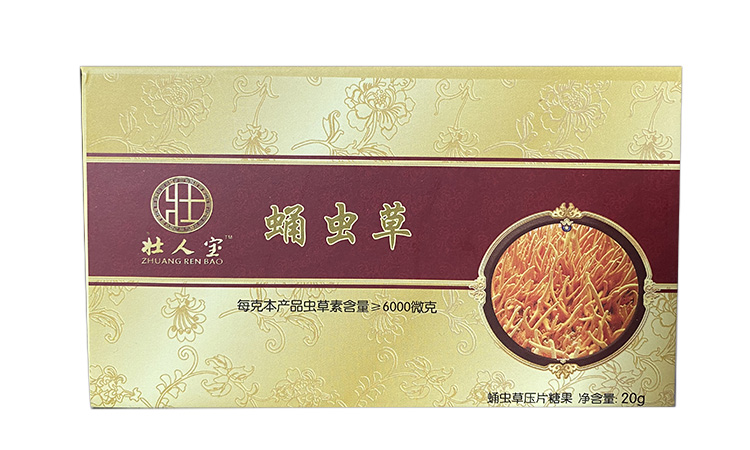 【壯人寶】蛹蟲草片  20片/盒