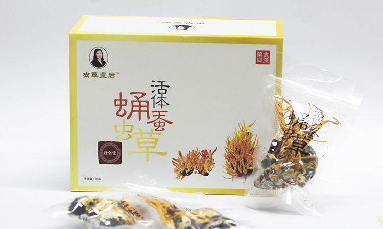 【蟲草皇后】活體蠶蛹蟲草  50g/盒