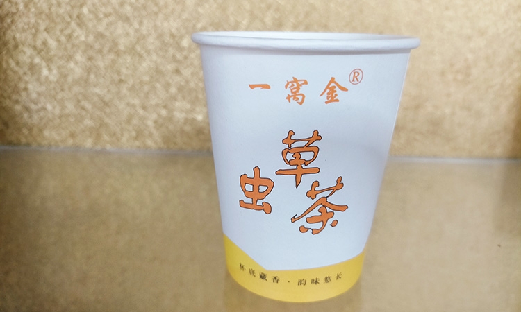 蟲草茶一次性沖泡杯