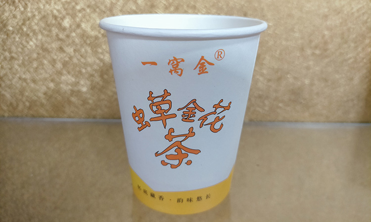 蟲草金花茶一次性沖泡杯
