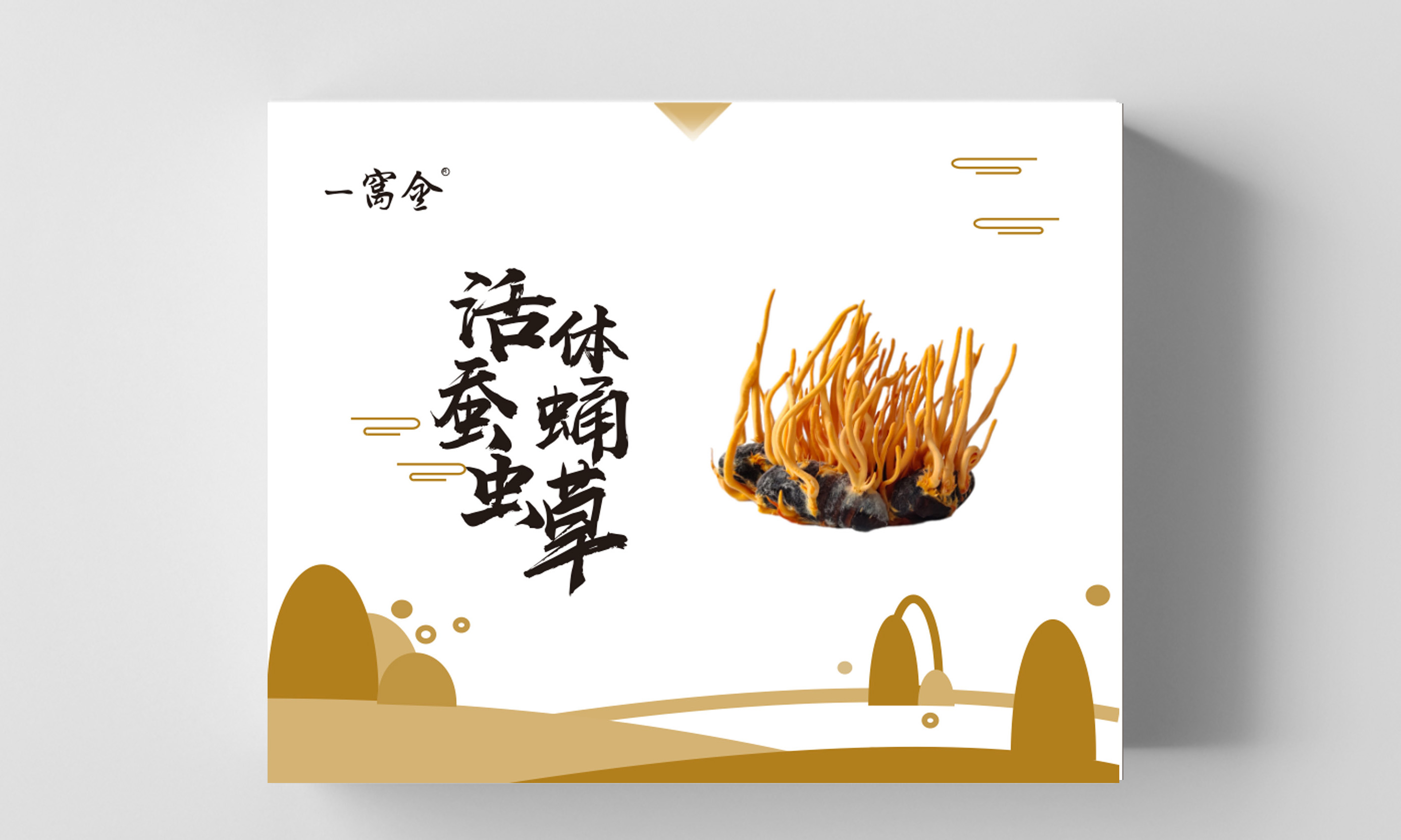 【一窩金】活體蠶蛹蟲草