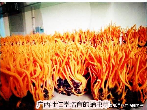 1644375710726085.jpeg bd5eff3298194dff9a3afef9cf1dac93.jpeg