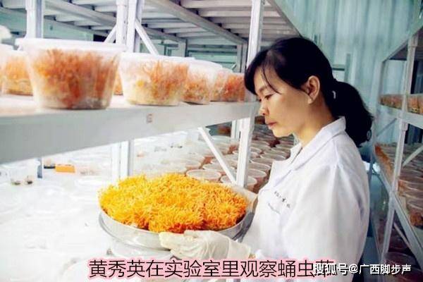 1644375767780673.jpeg e3ebc387666c4068954b938e0f37f7c1.jpeg